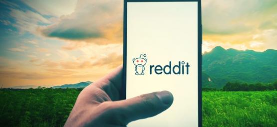Top 10 Wiet Reddit-Communities