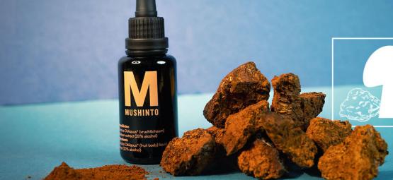 Wat Is Chaga?