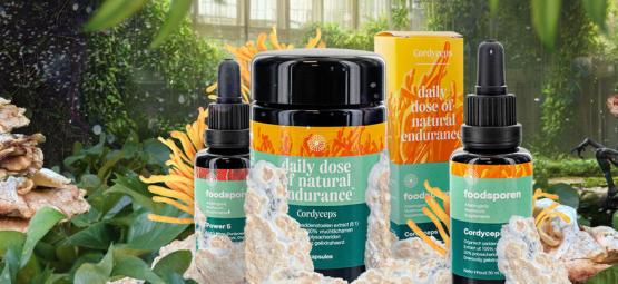 Alles wat je moet weten over Cordyceps: Oorsprong, Gezondheidsvoordelen en Gebruik