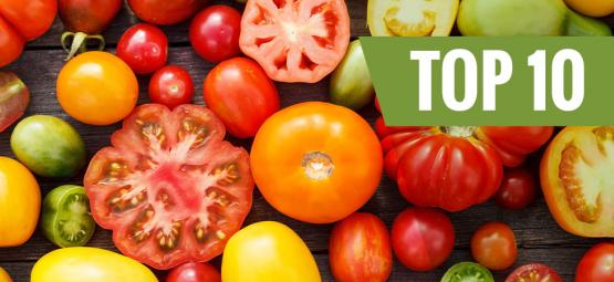 10 Tomatenplanten Om Te Kweken