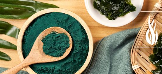 Alles Wat Je Over Spirulina Moet Weten