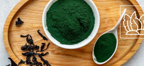 Is Chlorella Het Ultieme Superfood?