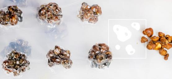 Microdosering Schema's Voor Magic Truffles