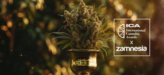 International Cannabis Awards 2024 — Zamnesia Pakt De Overwinning!