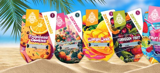 Zamnesia Seeds Show Aflevering 3: Club Tropicana