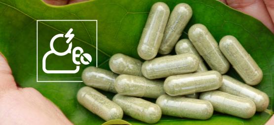 Kratom: alles wat je weten moet over de veiligheid en bijwerkingen