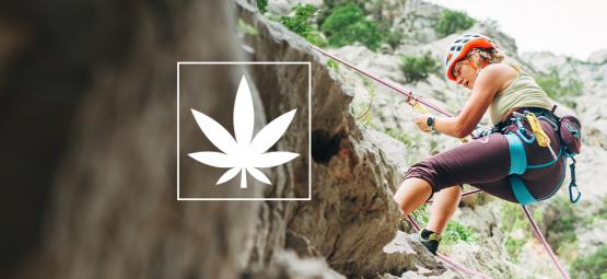 Cannabis en boulderen