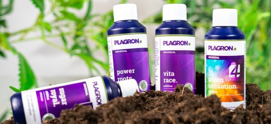 Beste biologische voeding voor wiet kweken