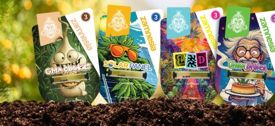 Welkom in Sector Z: een mysterieuze cannabisvondst