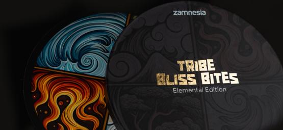 TRIBE Bliss Bites Elemental Edition: kies je mood, deel de reis