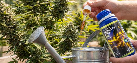 Maximaliseer de groei met Monster Buds: een complete meststoffenlijn voor elke groeifase