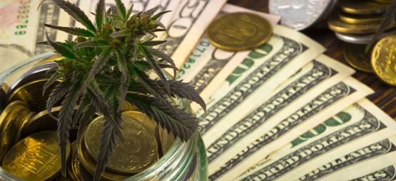 Cannabis En De Amerikaanse Economie