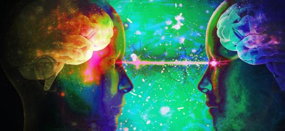 Psychedelische Telepathie? De Eerste Brein-Tot-Brein Communicatie Aan De Gang. 