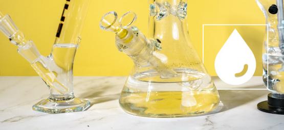 Filtert Bong Water THC Uit Je Wiet?