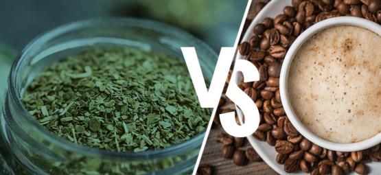 Yerba Maté vs. koffie: Moet je de overstap maken? 