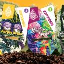 Zamnesia Strains Showcase: Ontdek Zeldzame Parels