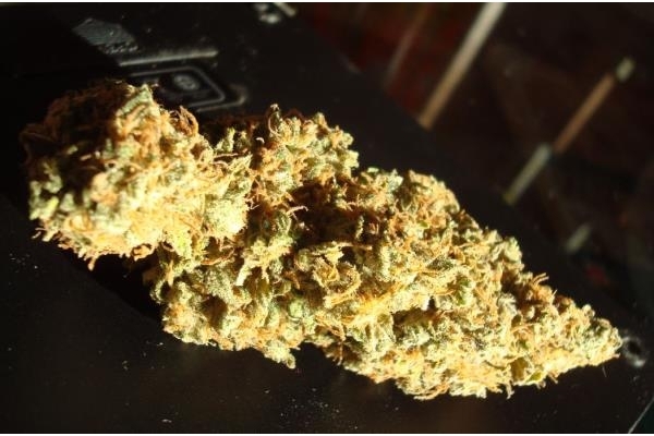 Power Flower (Royal Queen Seeds) feminized