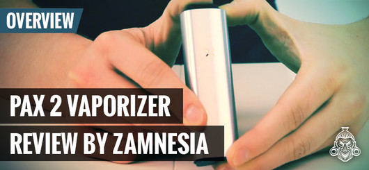 De Pax2 Vaporizer door Ploom
