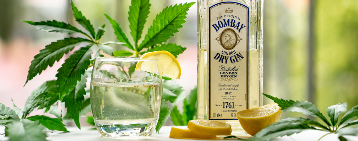 Hoe maak je ginjah: cannabis gin-tonic?